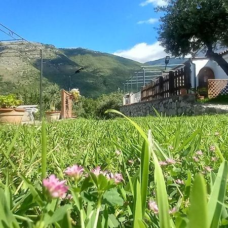 B&B Da Maria Teresa - Maratea Kültér fotó