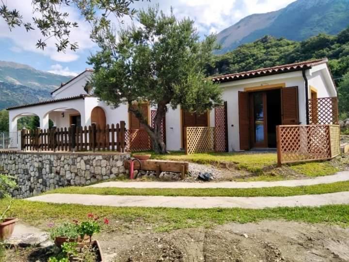 B&B Da Maria Teresa - Maratea Kültér fotó