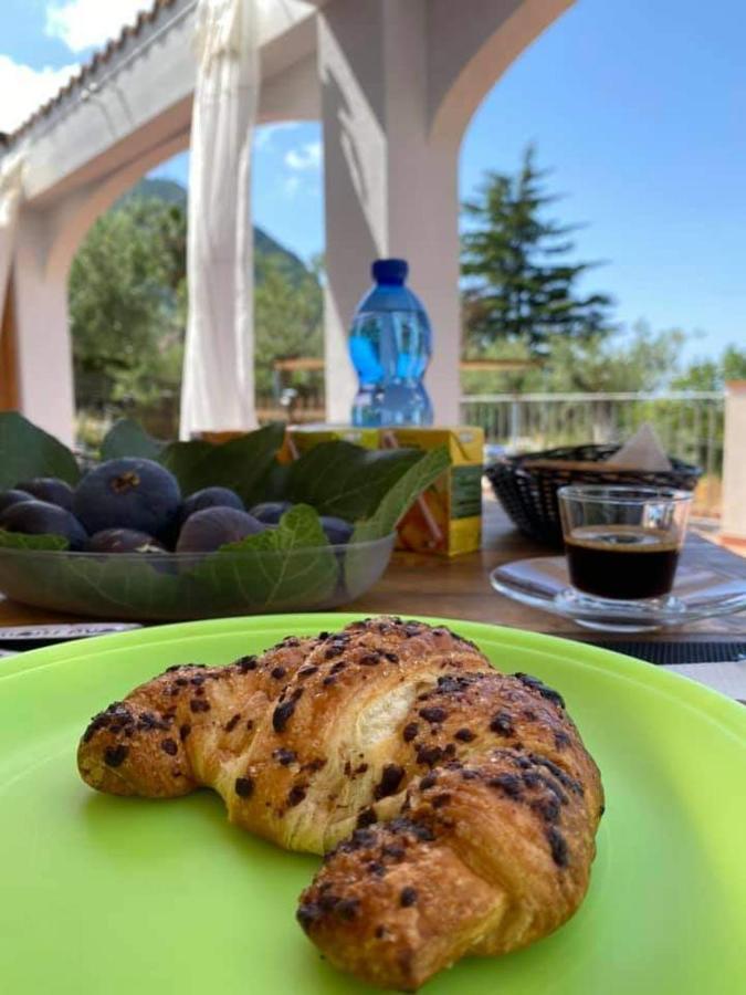 B&B Da Maria Teresa - Maratea Kültér fotó