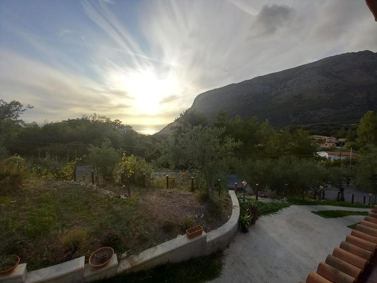 B&B Da Maria Teresa - Maratea Kültér fotó