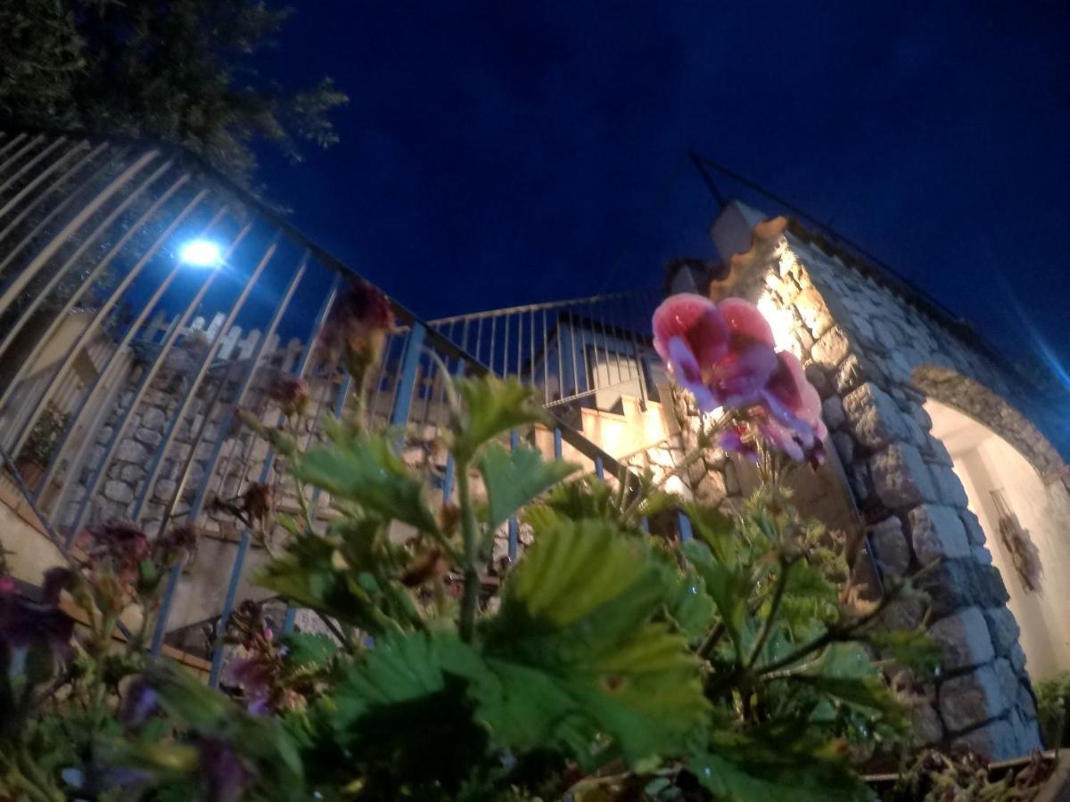 B&B Da Maria Teresa - Maratea Kültér fotó