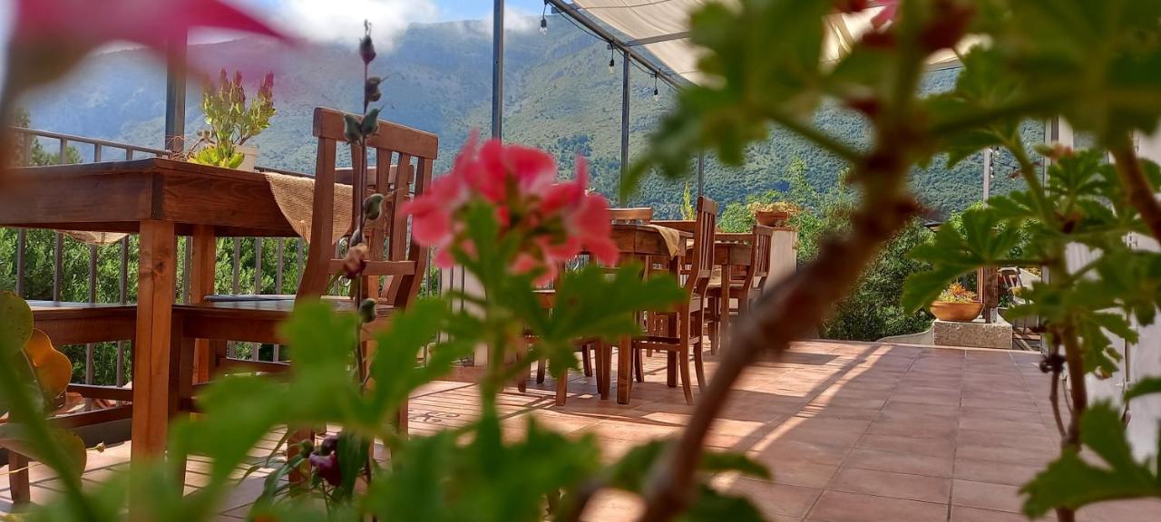 B&B Da Maria Teresa - Maratea Kültér fotó